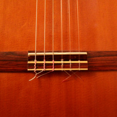 Nylon String Improvisation #2, January 2009