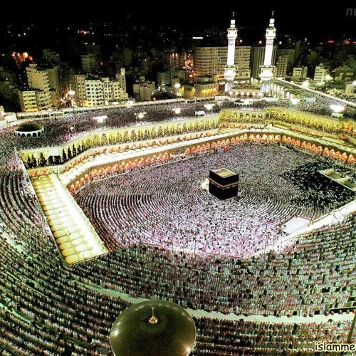سورة النمل- الشيخ أحمد رجب