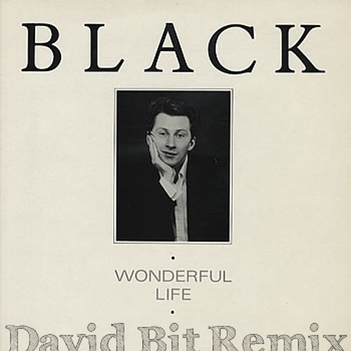 Black - Wonderful Life (David Bit 2015 Rework)