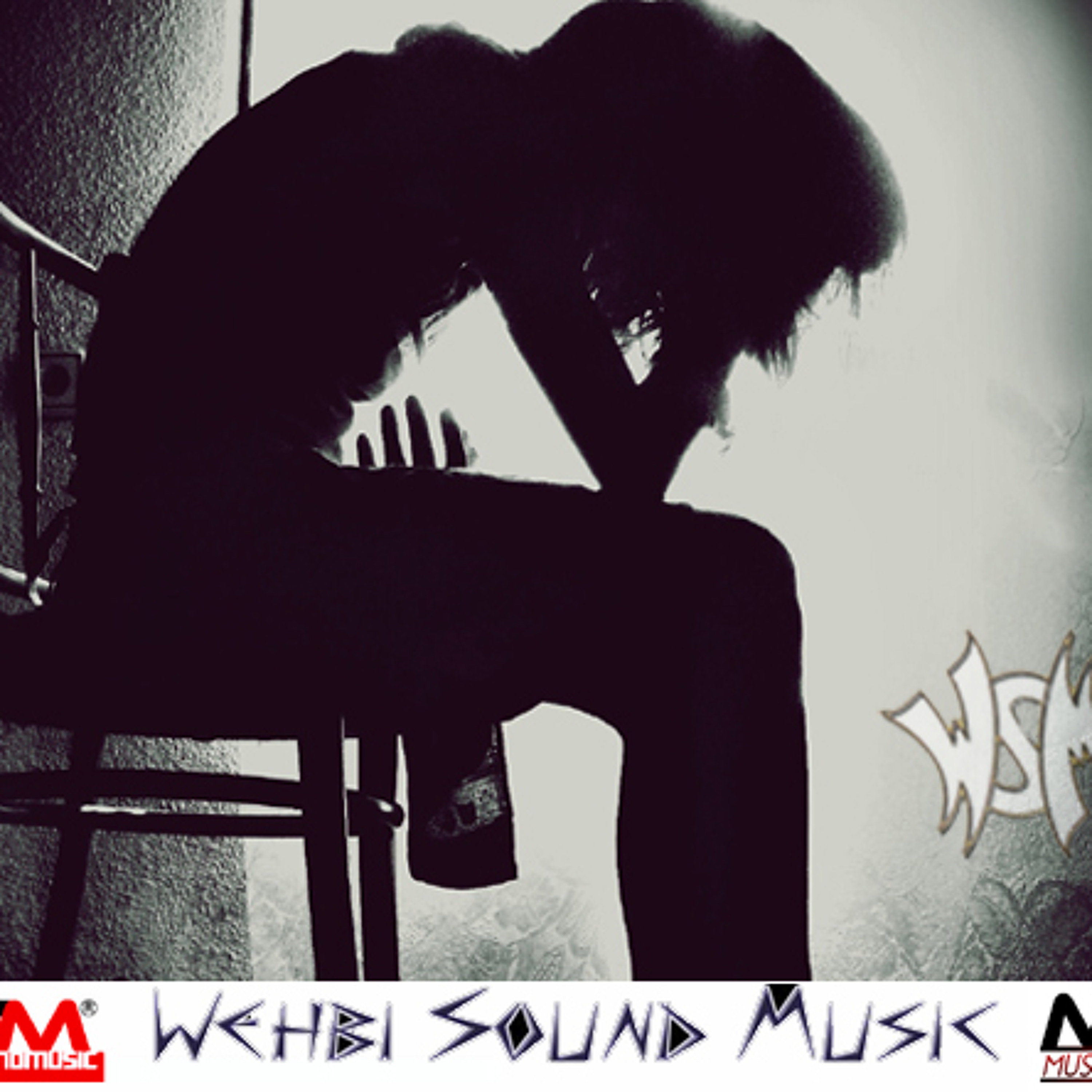 WSM WEHBI SOUND MUSIC