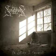 04 Monotonisk Depravering