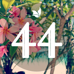 Sunday Chillday #44