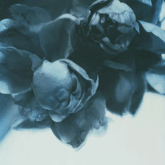 I DID ACID WITH CAROLINE