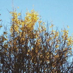 Money Mashup (Billionaire, Fancy, Money on my Mind, Thrift Shop, Gold Digger)