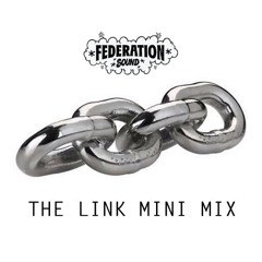 Federation Sound Presents The Link Mini Mix