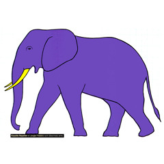 Koyotte - Makaoulevraiment