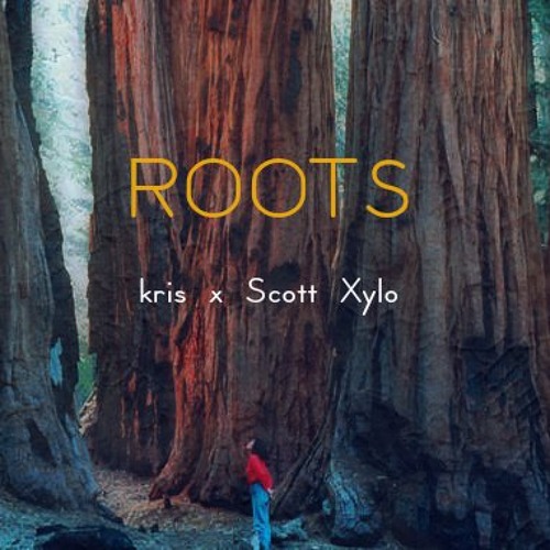 ROOTS - kris X Scott Xylo