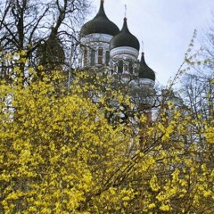 Плотию уснув