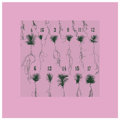 DIGITAL  Thomalla  -  Hermitage (Long Hair Mix)