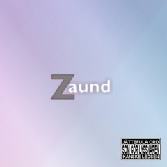 Zaund - House In My Pocket (DJ W's TESTO Remix)