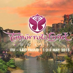 Steve Aoki - Live At Tomorrowland Brasil 2015