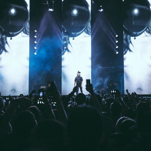 the weeknd king of the fall the weeknd king of the fall