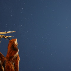 "Nightfall" (From Cittá dei Sogni)