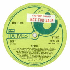 Fearless (Pink Floyd)