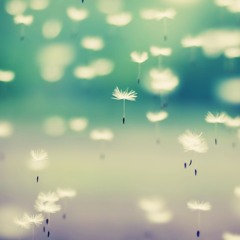 Pre Lude - Love For Ya (Original Mix)