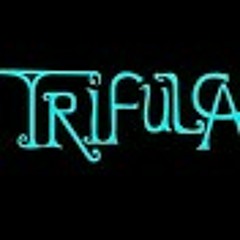 Qué vida la mía - La Trifulca (Cover).mp3