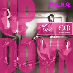 EXiD - 위아래 (Up & Down) [Cover]
