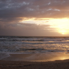 Gorillaz - Feel Good Inc. (Cover) By Daniela Andrade