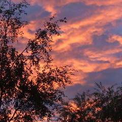 JUs ANothA dAY HAzeD FreeStyLE(ksLY)ft iAKonIc