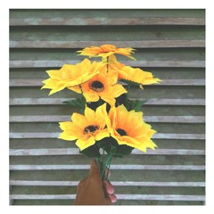 Miss You Love (Silverchair cover)