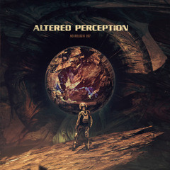 AK-Industry & Neverquiet - Altered Perception