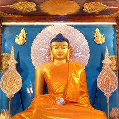 Karmapa's Vesak Message