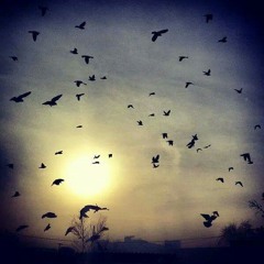 الأمة ايه _يزن مرعى