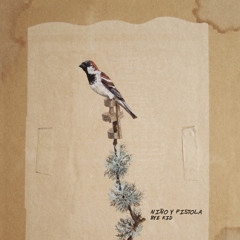 02. Hiding In A Tunnel