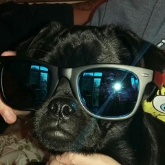 JDZmedia - Bugzy Malone [ELITE SESSIONS]