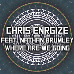 Chris Energize feat. Nathan Brumley - Where Are We Going (Original Mix)[Free Download]