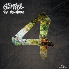 Mr.Woox - Glimpse - We Got it in Nature vol.4