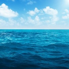 Ocean Dive