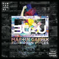 Martin Garrix Vs 3LAU & Bright Lights - How You Love My Forbidden Voices (Max-D Mashup)