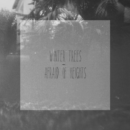Stream Afraid Of Heights by Winter Trees Listen online for free on