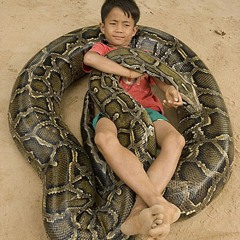 Boys And Snakes
