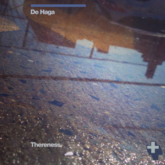 DE HAGA_Pladeloop