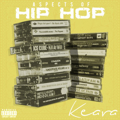 Aspects Of Hip Hop