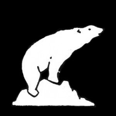 Eisbaer
