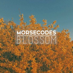 Pinkfade. - Blossom