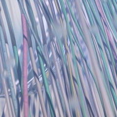 The 23rd Century [Digital Rainforest album, Beer On The Rug 2015]