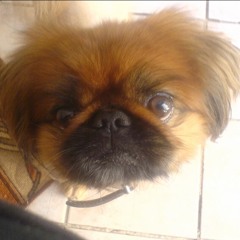 Peter Murphy Tale of the Tongue (12'' version)