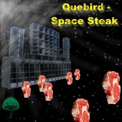 Quebird - Space Steak
