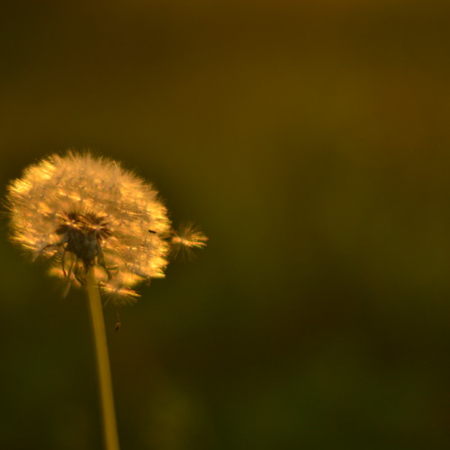 What I Did For Love - David Guetta (Remake.GabiGoia)