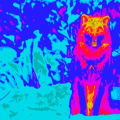 Animales (Todos en mi Casa)