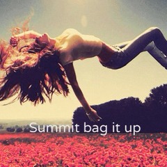 Summit 'Bag It Up' ( Master )