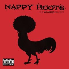 Nappy_Roots_Window