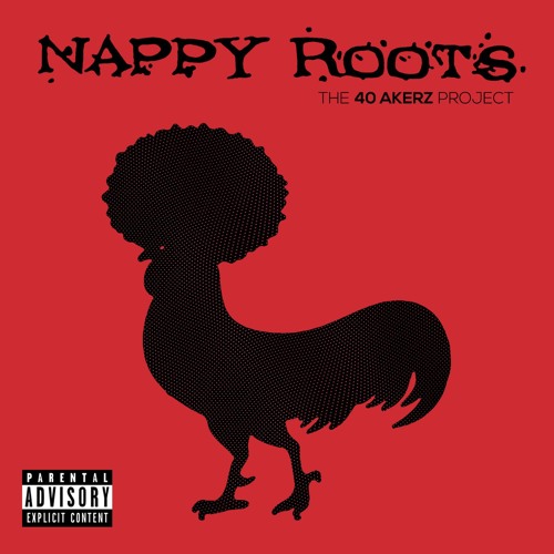 Nappy_Roots_Window