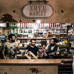 Xote Marley - Algodão (Luiz Gonzaga)