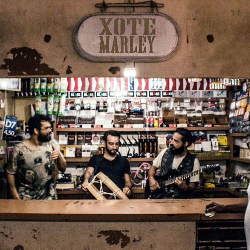 Xote Marley - Algodão (Luiz Gonzaga)