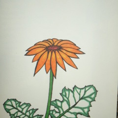 Sway Me Like The Sea (cover @ Barry Louis Polisar/ juno soundtrack)